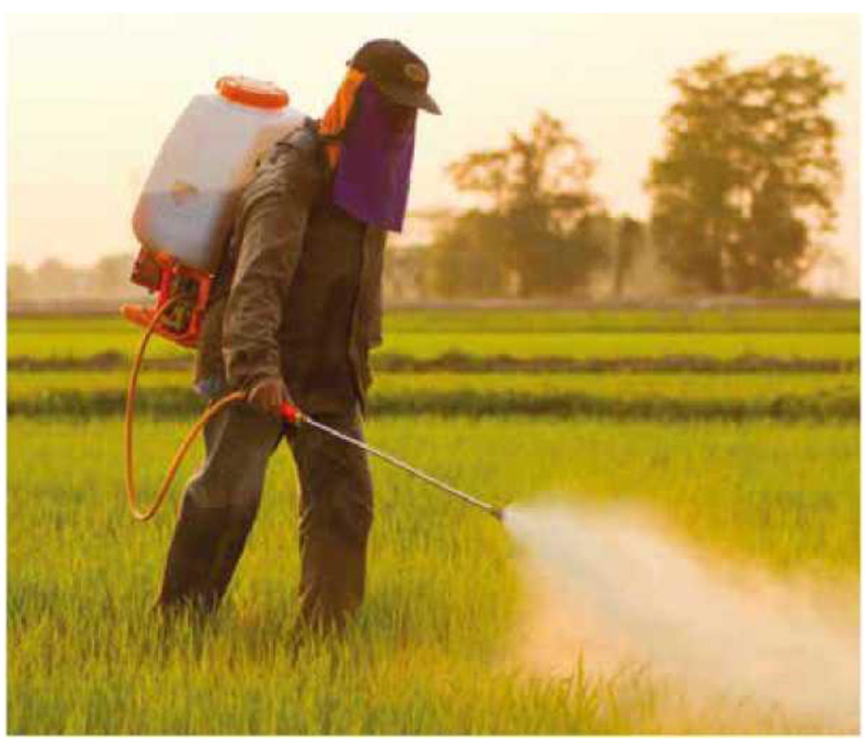 Niebezpieczeństwo jest wszędzie wokół nas