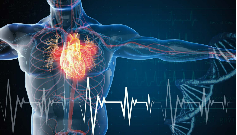 Serce jest pompą, o którą należy dbać